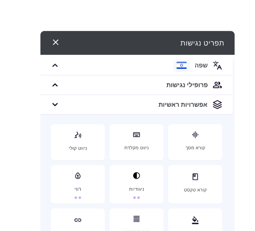 AI-powered Accessibility Widget interface